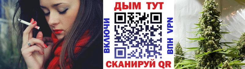 Марихуана гибрид  Сураж 